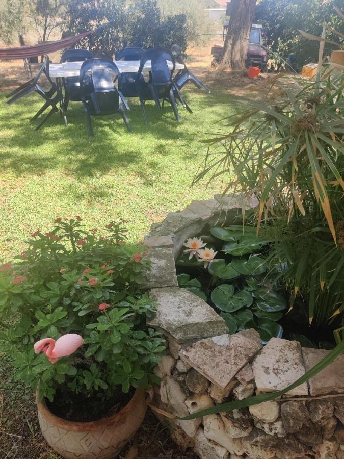 Chez Rothman Sublet Apartment Shadmot Devora Bagian luar foto